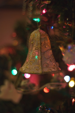 This ornament has no particular sentimental value, but Hubby took a darn good picture of it, so I decided to show it off