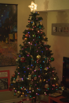 Our Christmas tree